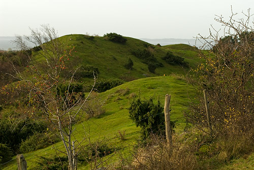 Grevie backar