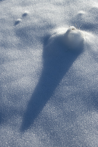 Snö