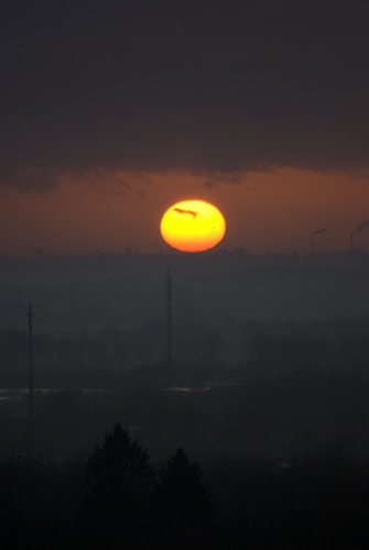 Solnedgång över Öresund