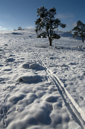 Romeleåsen