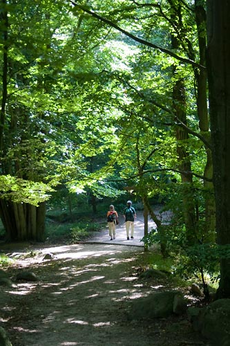 Promenad i nationalparken