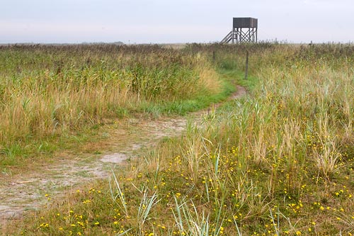 Naturreservatet Äspet