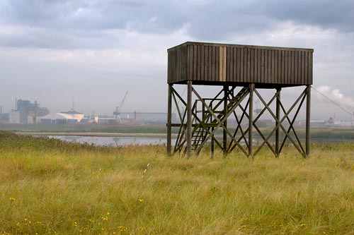 Naturreservatet Äspet