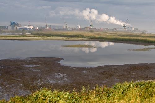 Naturreservatet Äspet