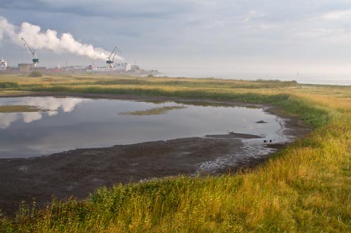 Naturreservatet Äspet