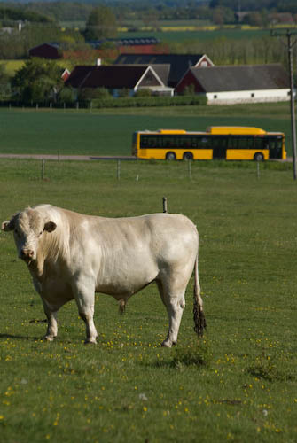 Lunnabjär