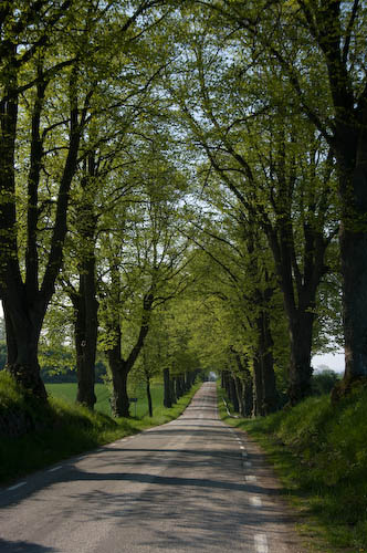 Charlottenlund