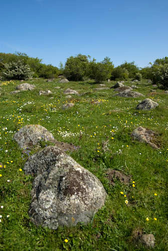 Svabesholm