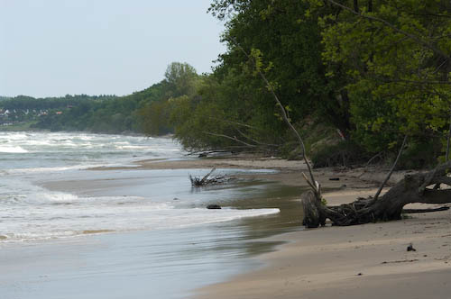 Rörums strand