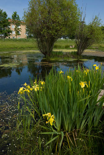 Skansen