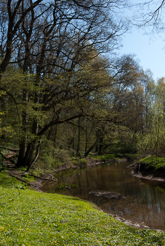 Råån vid Vallåkra.
