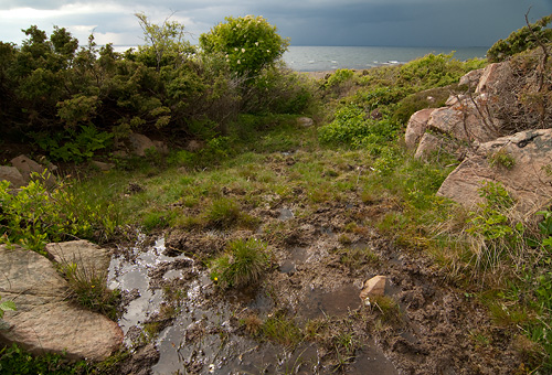 Kärr vid Dagshögsstranden