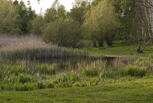 Våtmark