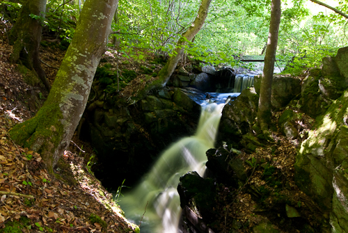 Axelstorps skogar