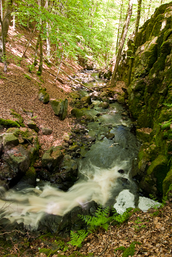 Axelstorps skogar