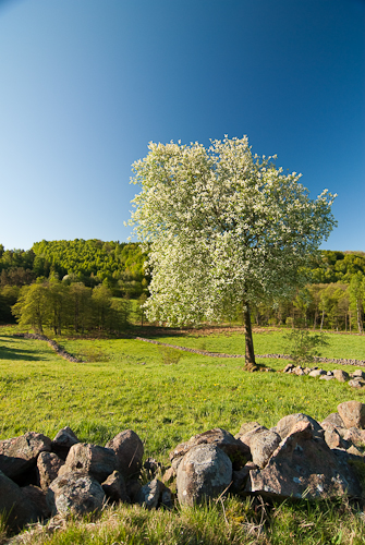 Sinarpsdalen