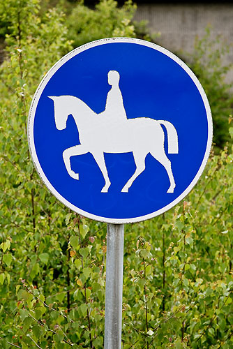 Ridväg