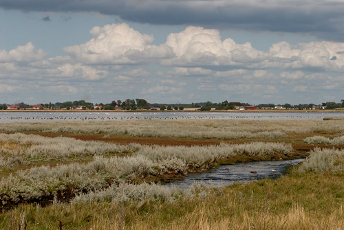 Foteviken