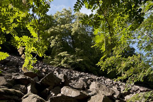 Söderåsens nationalpark