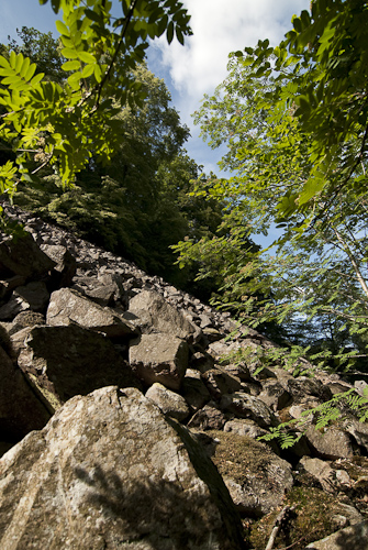 Söderåsens nationalpark