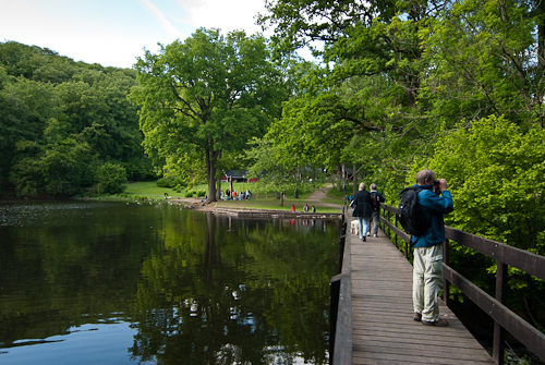 Söderåsens nationalpark