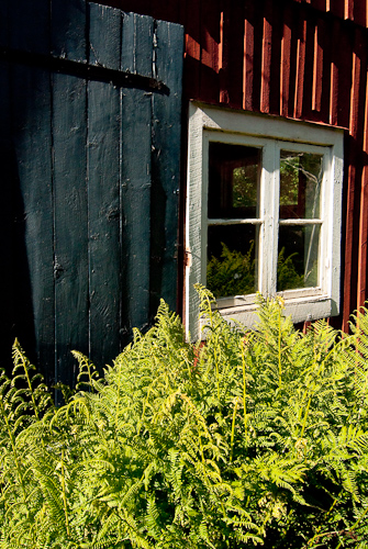 Vedboden