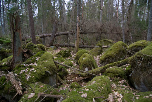 Grävlingabackarna