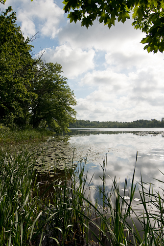 Gustavsborg