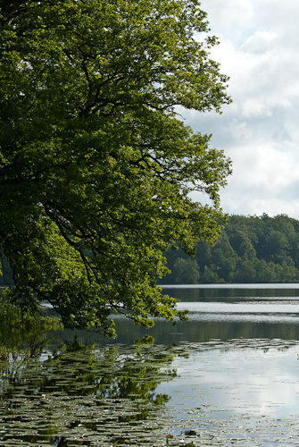 Lille sjö