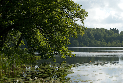 Gustavsborg