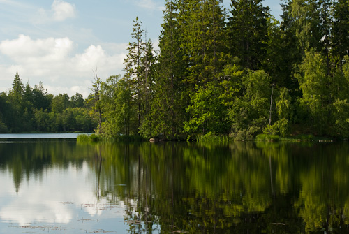 Håkantorps mölledamm