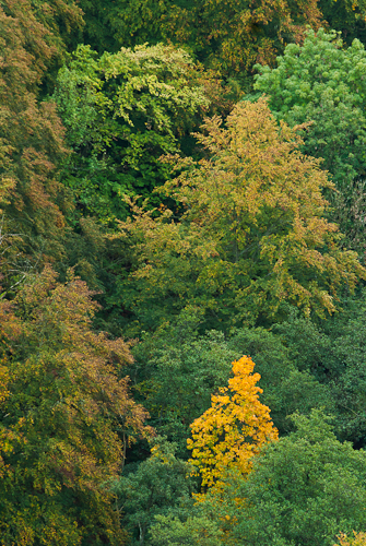 Söderåsens nationalpark