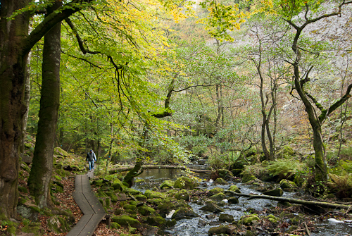 Söderåsens nationalpark