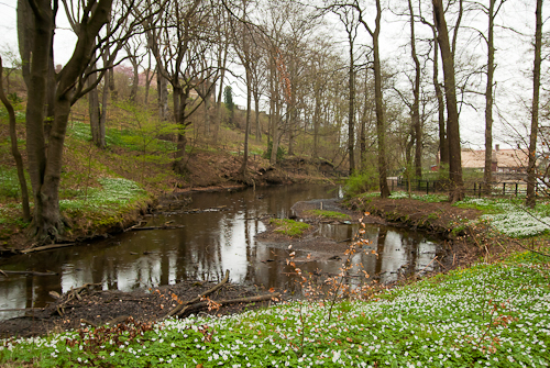 Pålsjö mölla