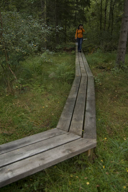 Skrylle strövområde