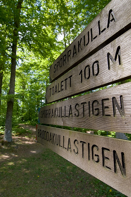 Sporrakulla i Kullaskogen