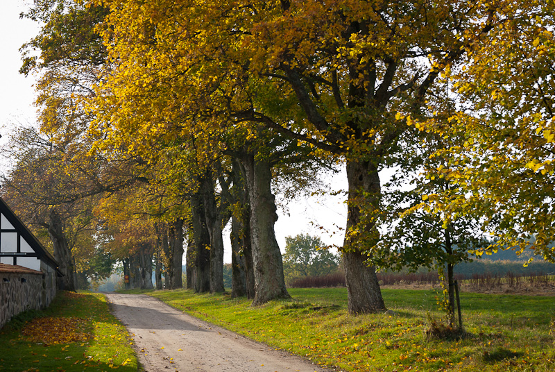 Maltesholm