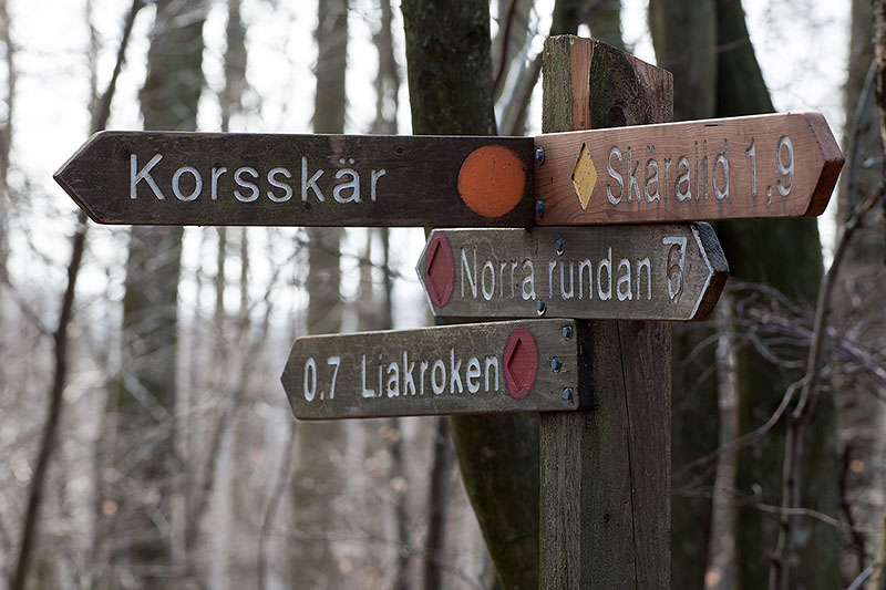 Vägskäl i Skäralid