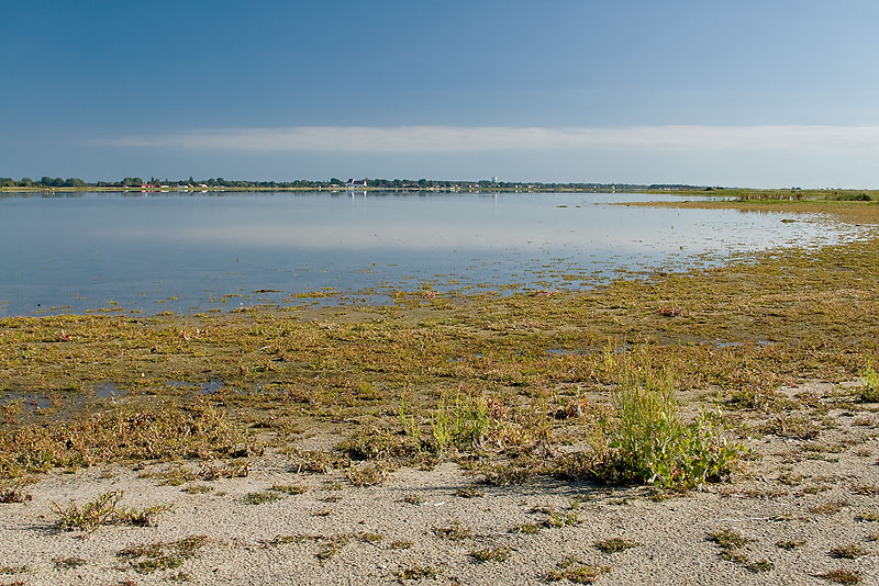 Skanörs revlar