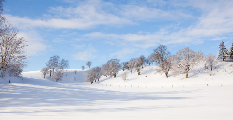 Vinter Österlen