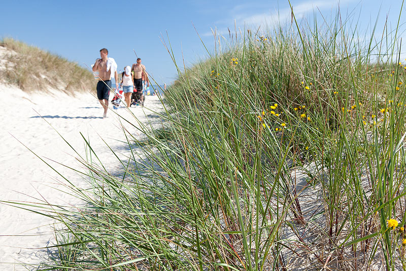 Sandhammaren