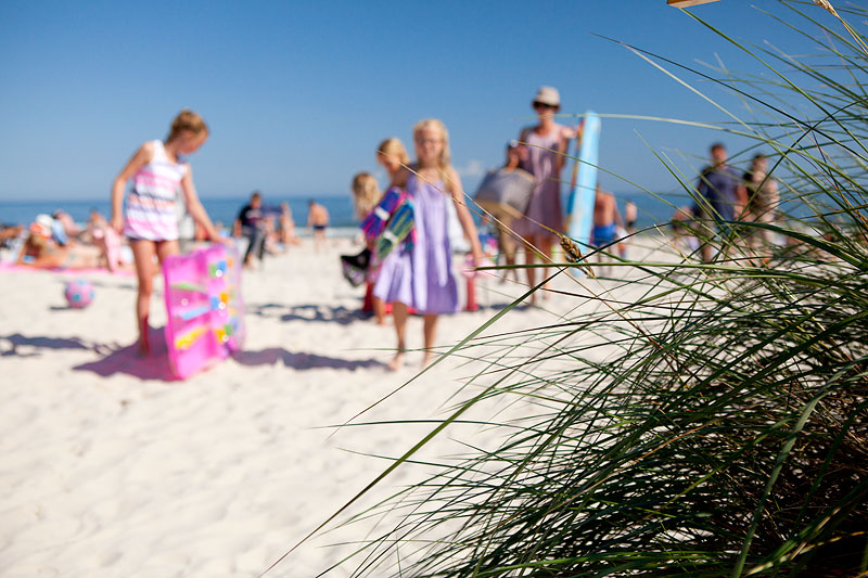 Sandhammaren
