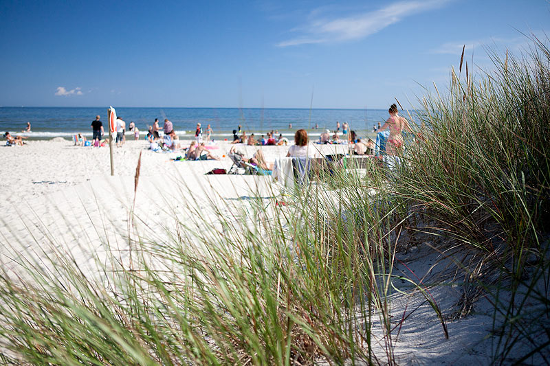 Sandhammaren