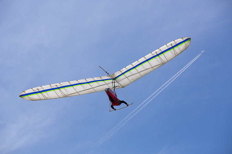 Hängflyg