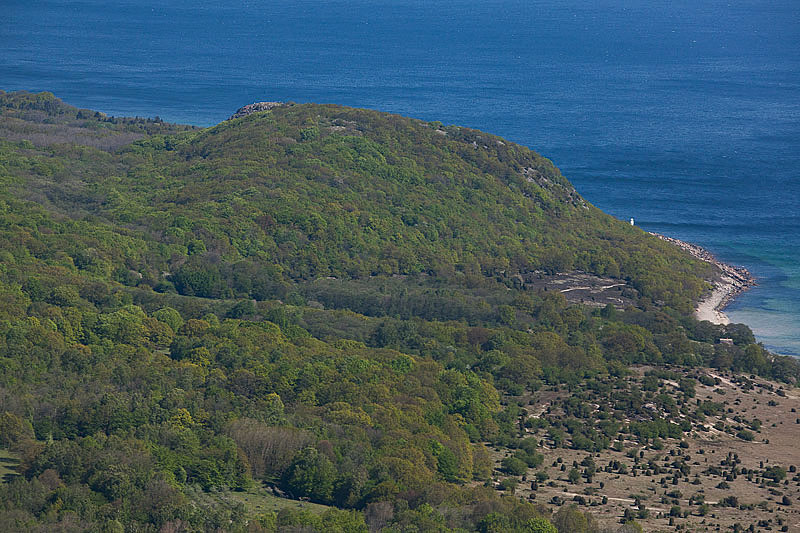Stenshuvud