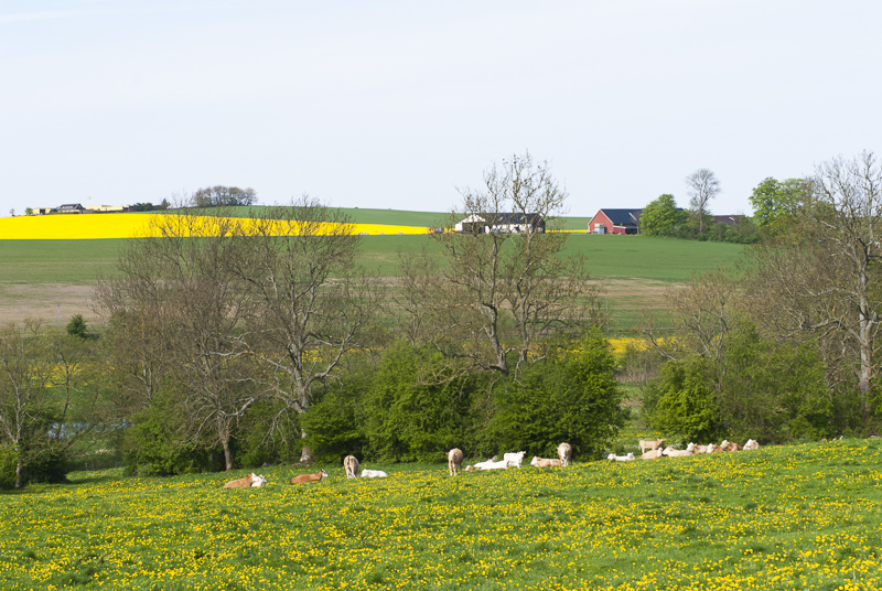 Ottarp