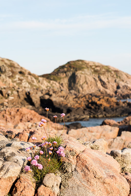 Strandtrift Kullaberg