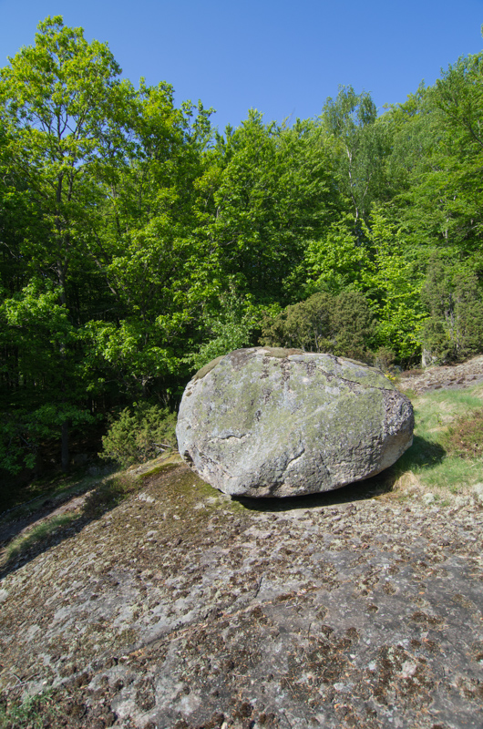 Näsums bokskogar