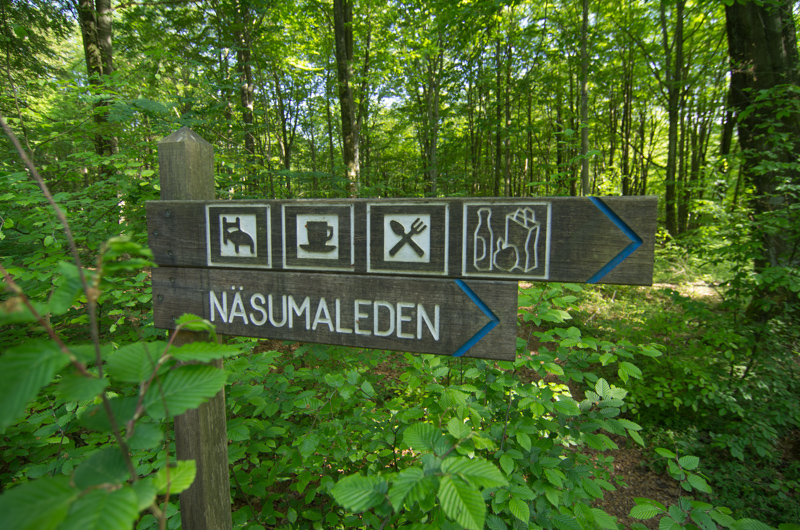 Näsums bokskogar