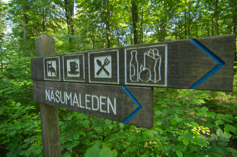 Näsums bokskogar